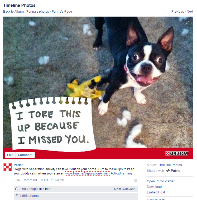 Purina's #dogshaming facebook page