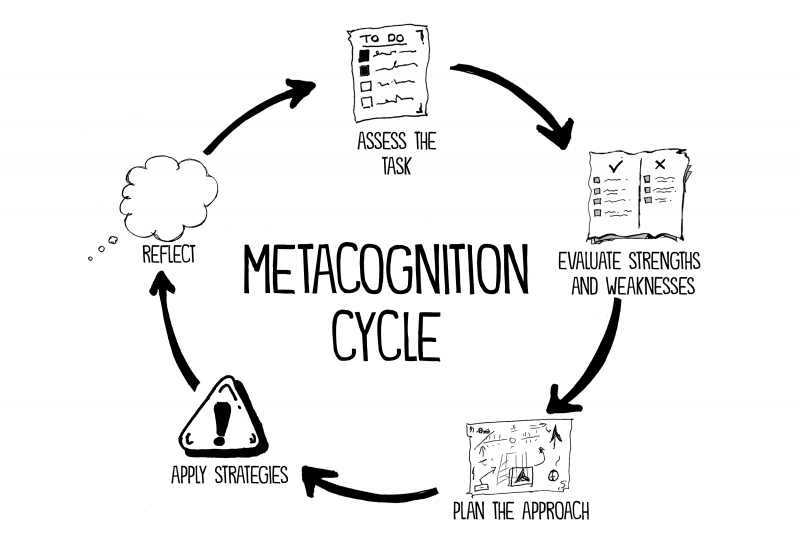 metacognition-cycle