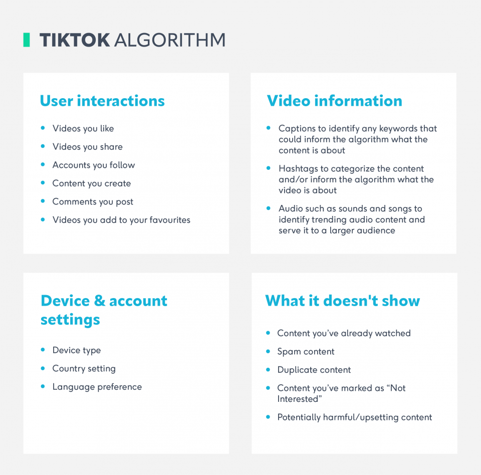 101: The TikTok Algorithm And How To Use It To Your Business’s ...